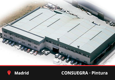 Consuegra Pintura